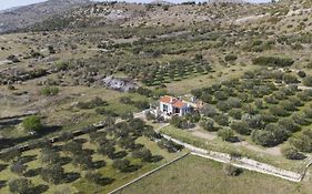 Holiday Home Olive