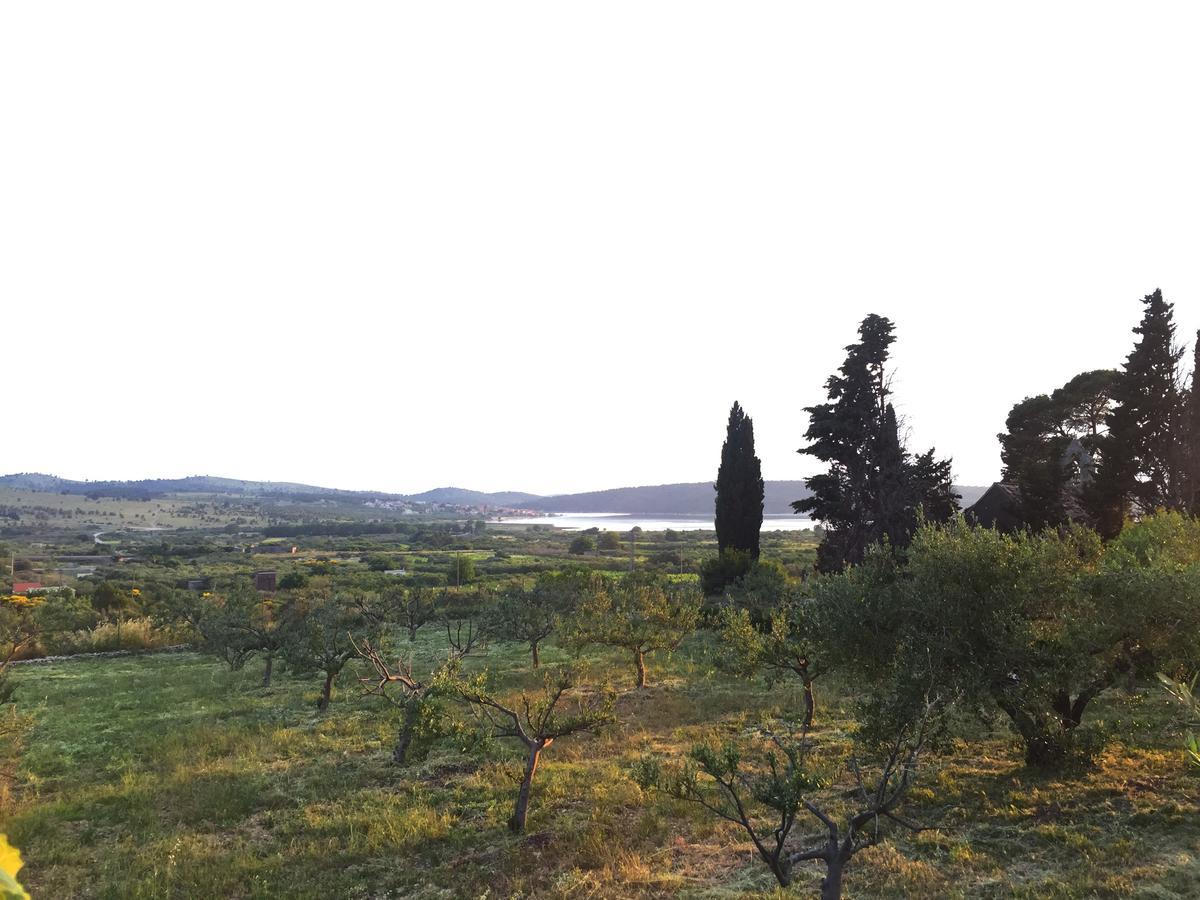 Holiday Home Olive Šibenik Extérieur photo