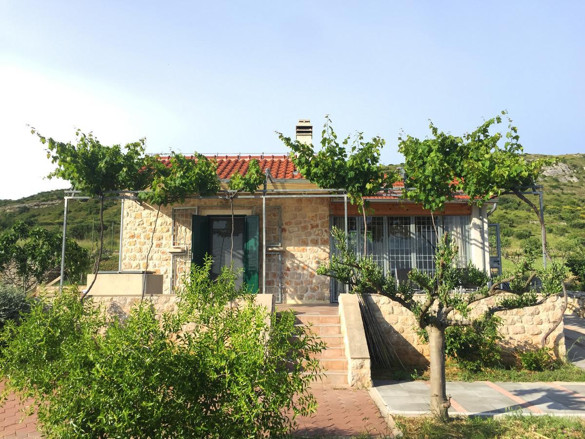 Holiday Home Olive Šibenik Extérieur photo